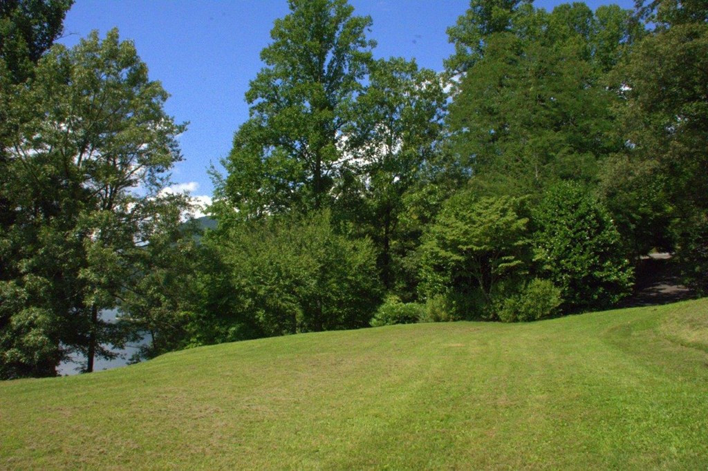 00 Lakeside Trail Property Photo 8
