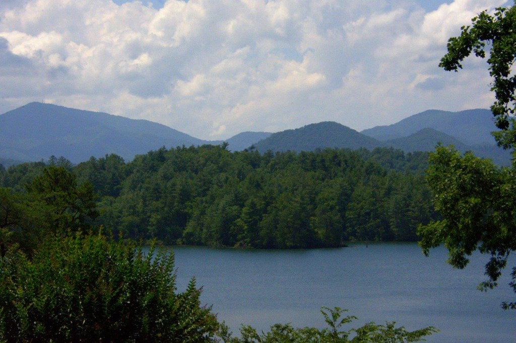 00 Lakeside Trail Property Photo 9