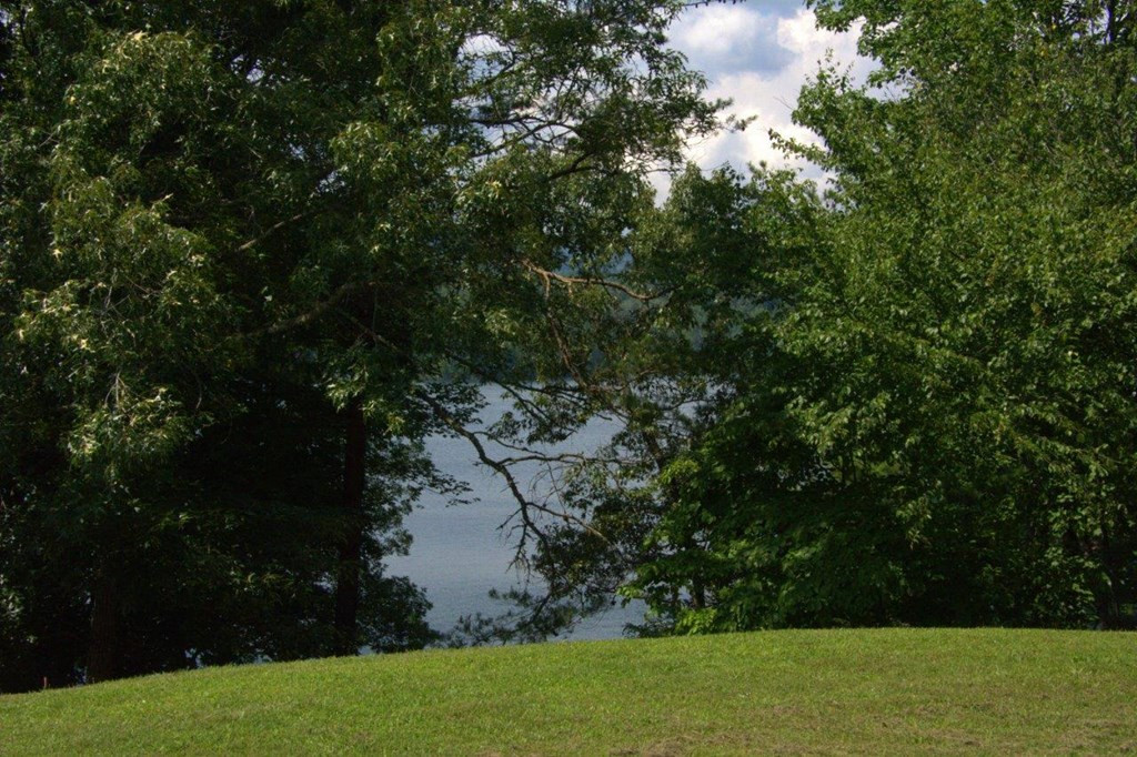 00 Lakeside Trail Property Photo 10