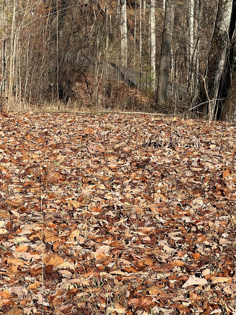 Lot 56c 56c Indian Trail Property Photo 6