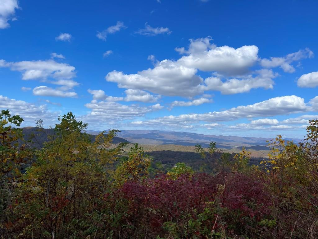 0 Brasstown Heights Property Photo 1