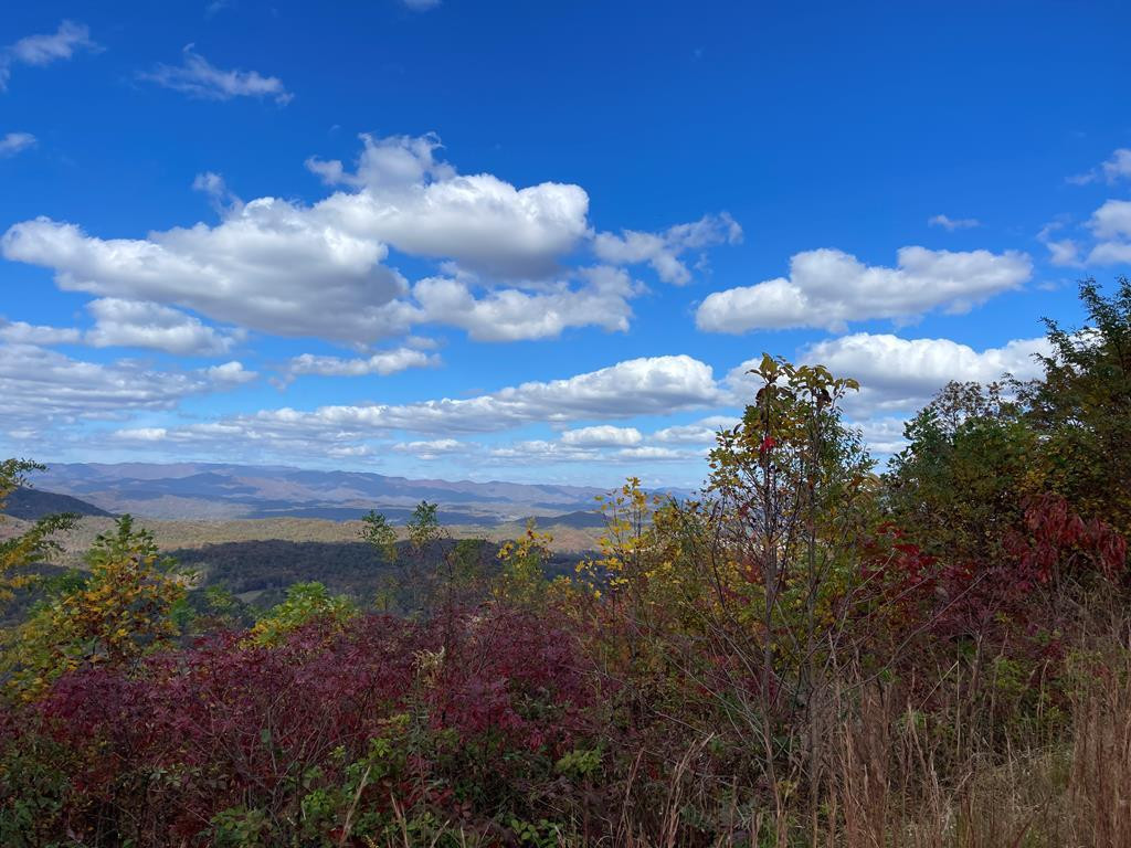 0 Brasstown Heights Property Photo 2