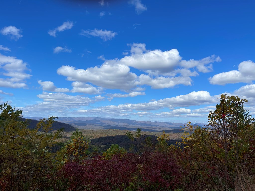 0 Brasstown Heights Property Photo 3