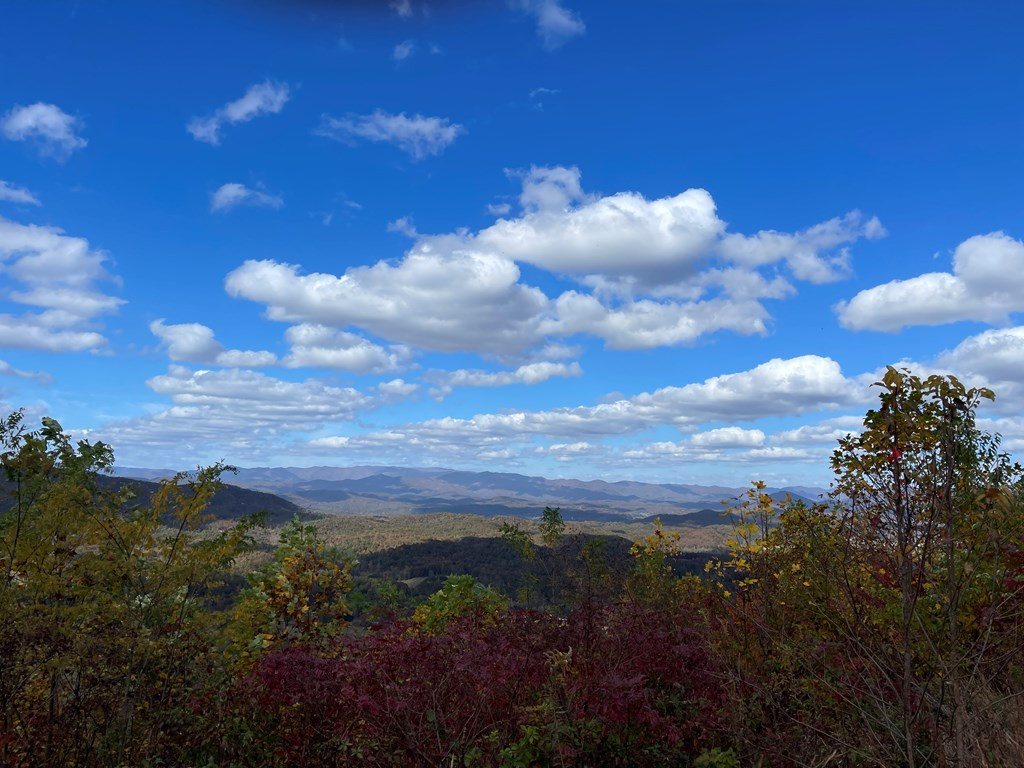 0 Brasstown Heights Property Photo 4