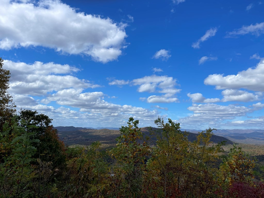 0 Brasstown Heights Property Photo 5