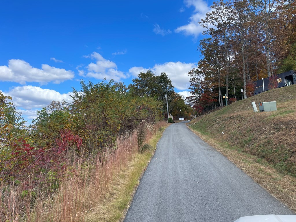 0 Brasstown Heights Property Photo 6