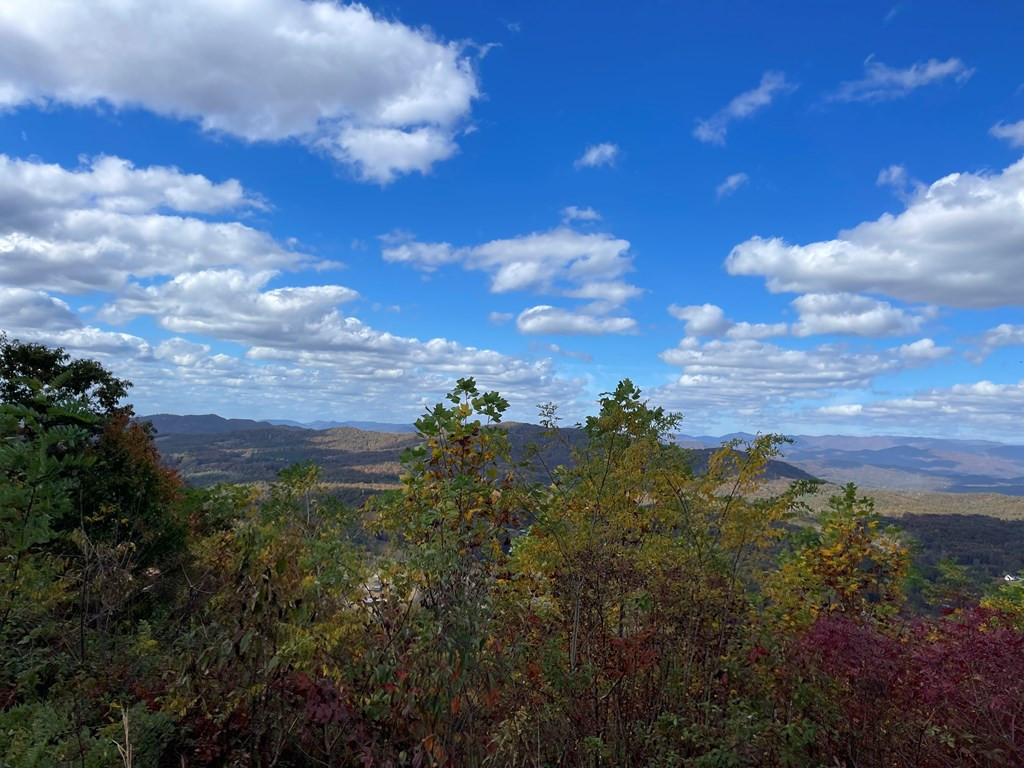 0 Brasstown Heights Property Photo 7