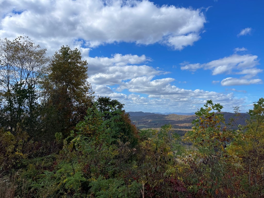 0 Brasstown Heights Property Photo 8