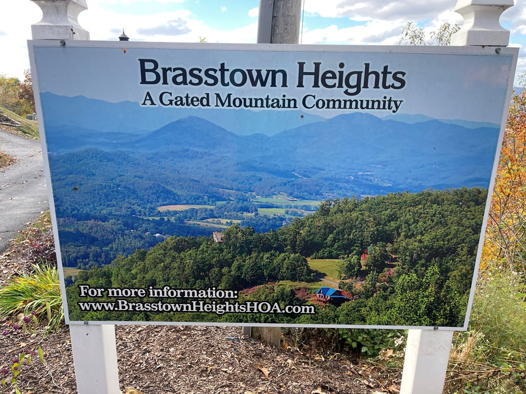 0 Brasstown Heights Property Photo 9