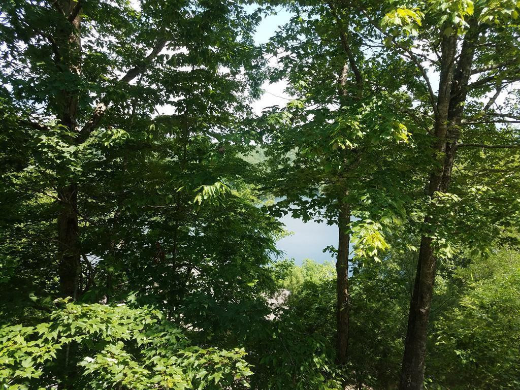 Lot 43 Kestrel Ridge Circle Property Photo 1