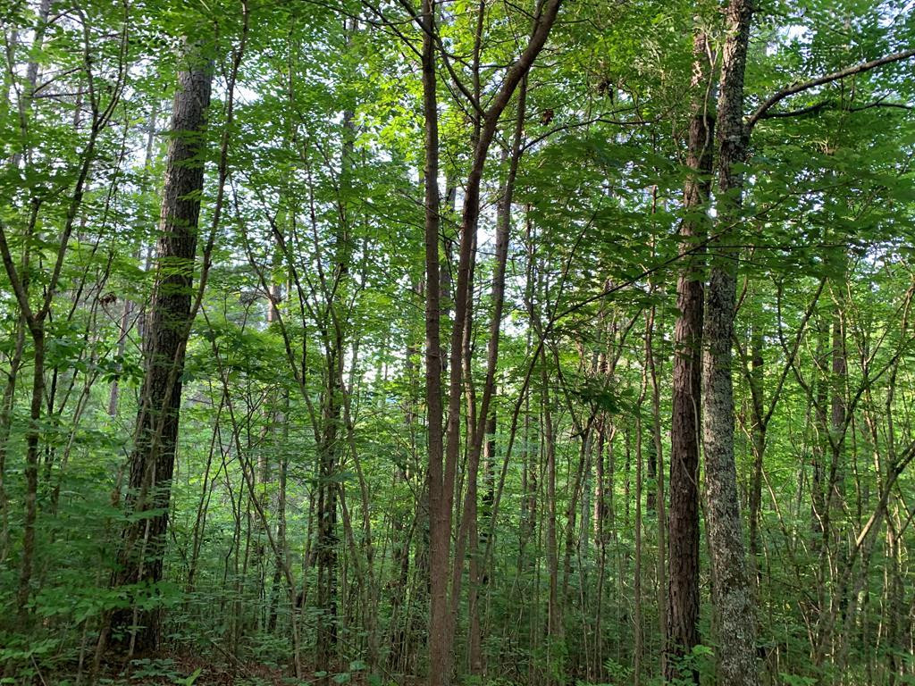 Lot 43 Kestrel Ridge Circle Property Photo 2