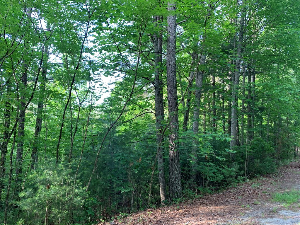 Lot 43 Kestrel Ridge Circle Property Photo 8