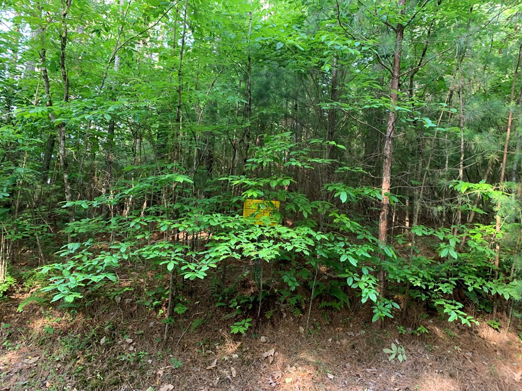 Lot 43 Kestrel Ridge Circle Property Photo 10