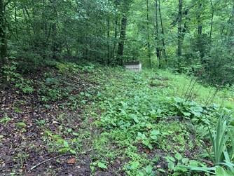 Lot 43 Kestrel Ridge Circle Property Photo 11