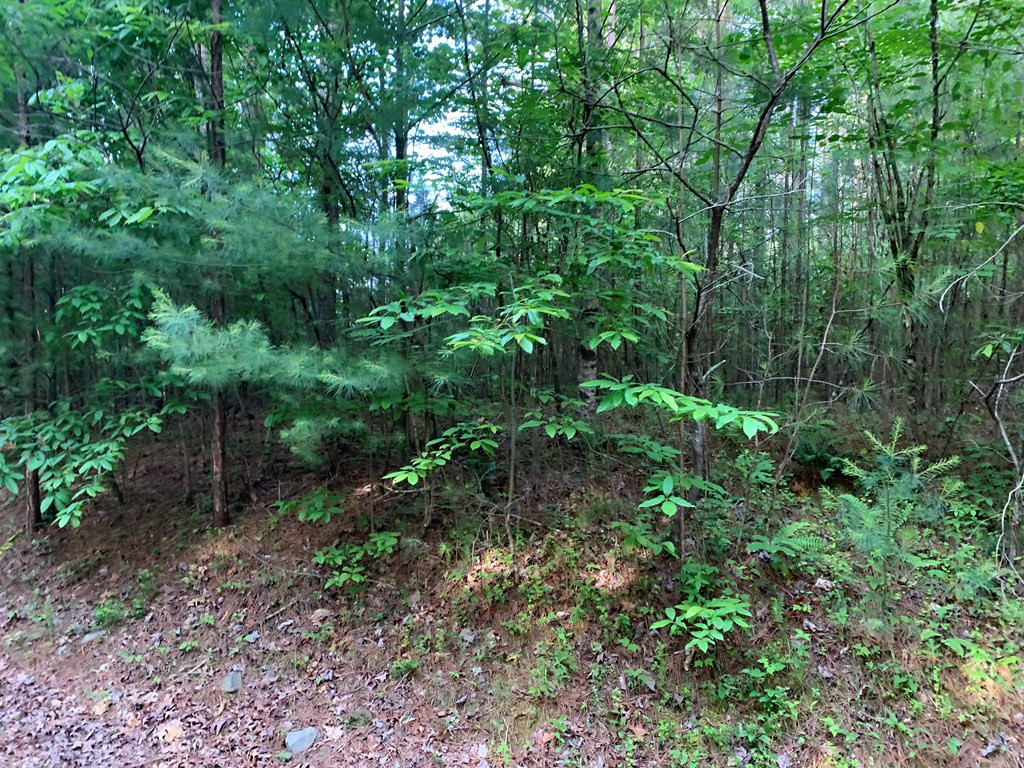 Lot 43 Kestrel Ridge Circle Property Photo 12