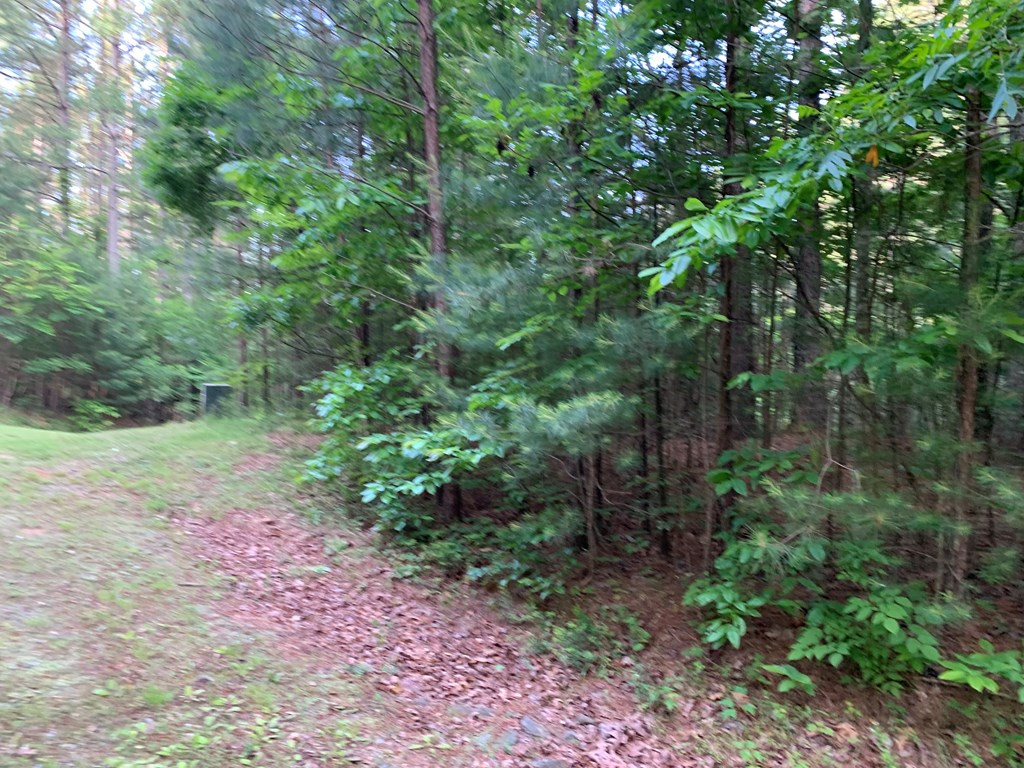 Lot 43 Kestrel Ridge Circle Property Photo 13