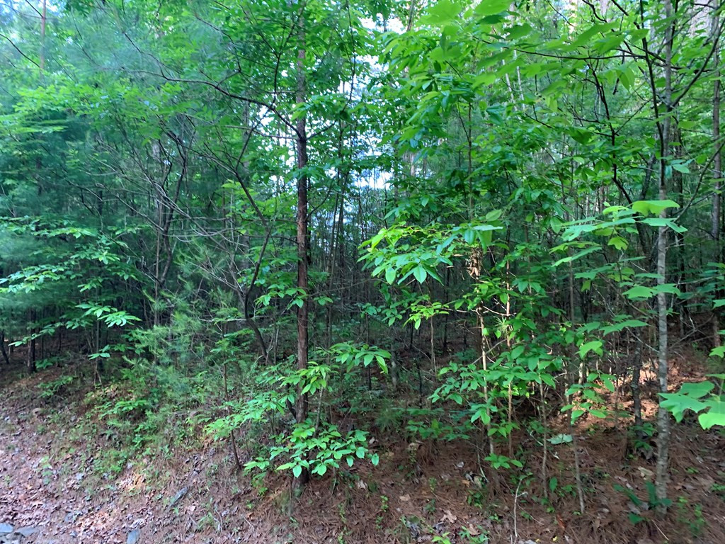 Lot 43 Kestrel Ridge Circle Property Photo 14
