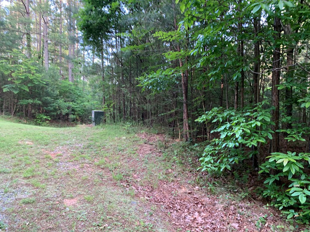Lot 43 Kestrel Ridge Circle Property Photo 15