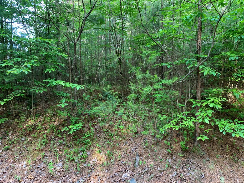 Lot 43 Kestrel Ridge Circle Property Photo 16
