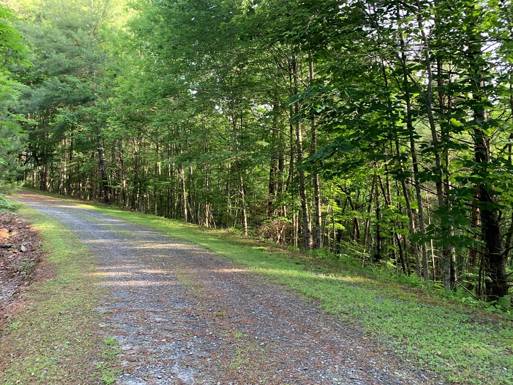 Lot 43 Kestrel Ridge Circle Property Photo 17