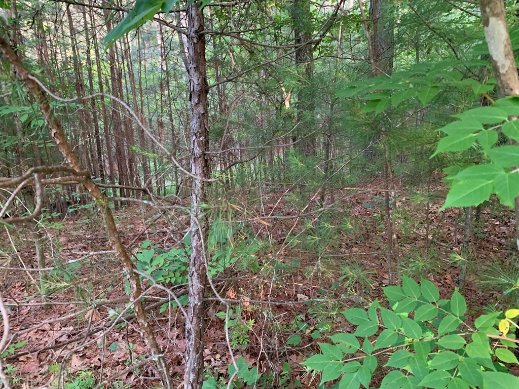 Lot 43 Kestrel Ridge Circle Property Photo 18