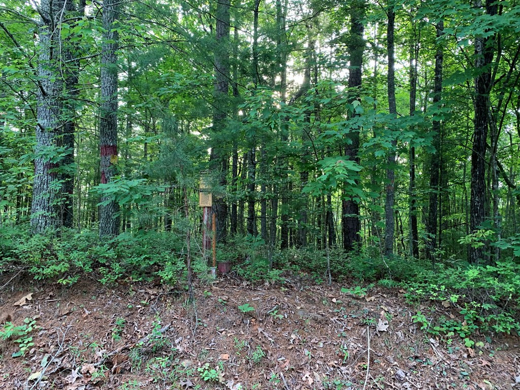 Lot 43 Kestrel Ridge Circle Property Photo 19