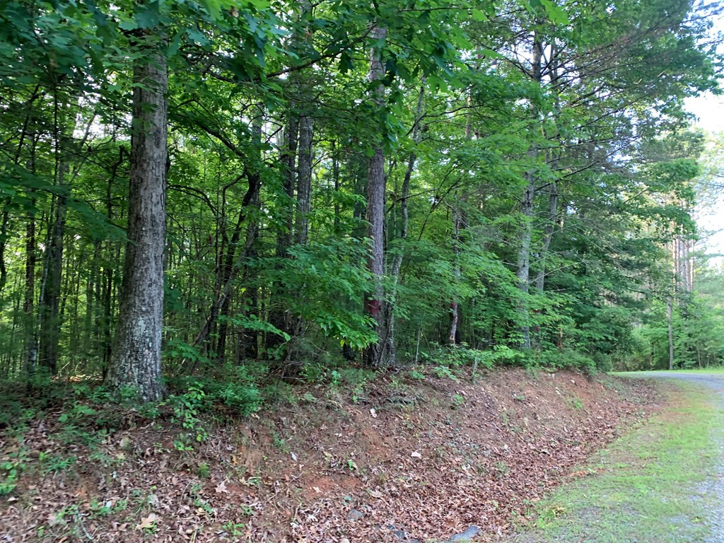 Lot 43 Kestrel Ridge Circle Property Photo 20