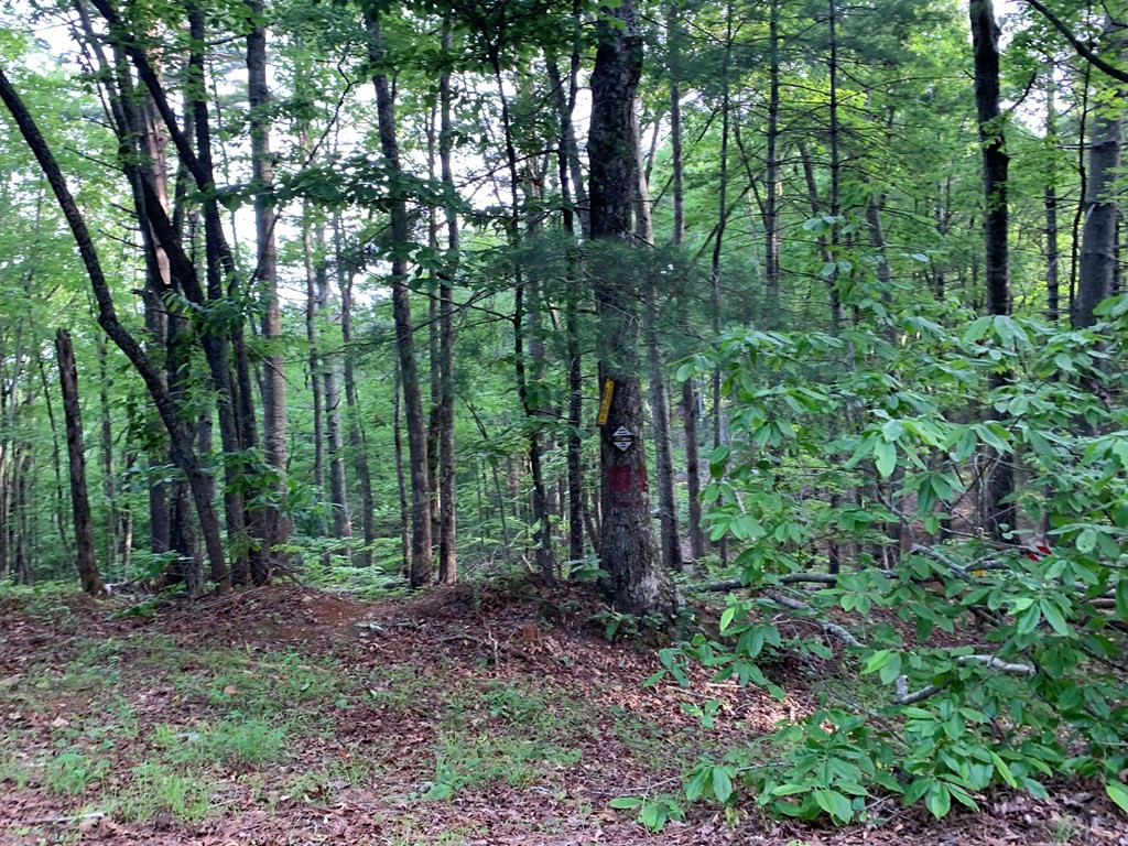 Lot 43 Kestrel Ridge Circle Property Photo 21
