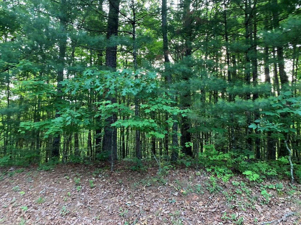 Lot 43 Kestrel Ridge Circle Property Photo 22