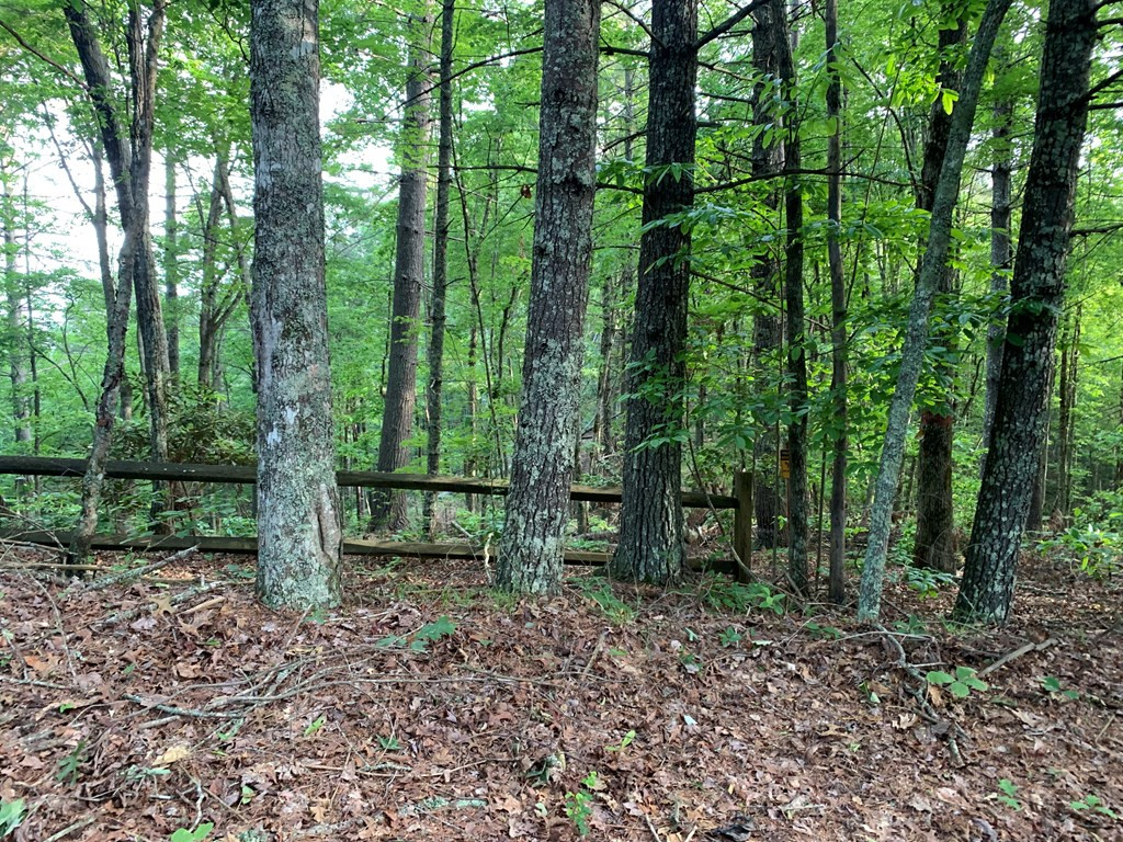 Lot 43 Kestrel Ridge Circle Property Photo 23
