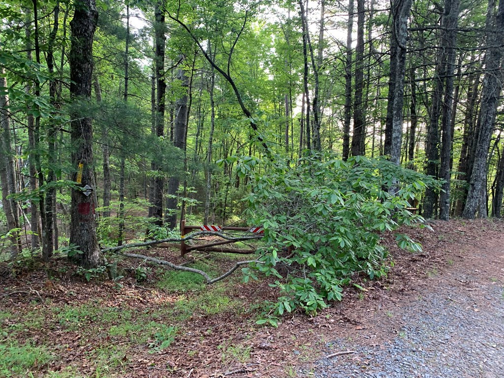 Lot 43 Kestrel Ridge Circle Property Photo 24