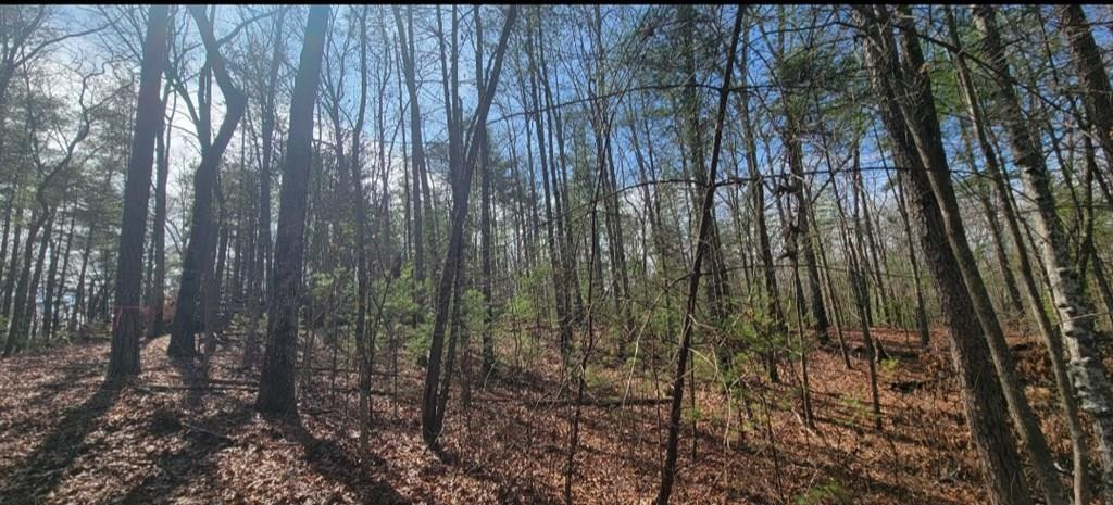 00 Headwaters Drive Property Photo 1