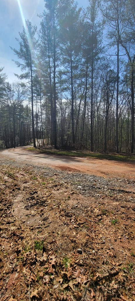 00 Headwaters Drive Property Photo 2