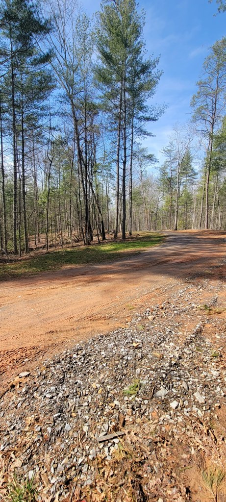 00 Headwaters Drive Property Photo 3