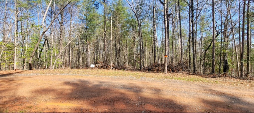 00 Headwaters Drive Property Photo 4