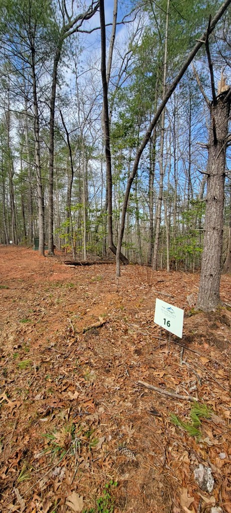 00 Headwaters Drive Property Photo 5