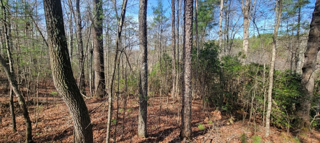 00 Headwaters Drive Property Photo 7