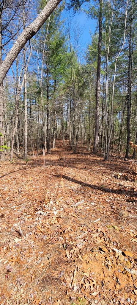 00 Headwaters Drive Property Photo 8
