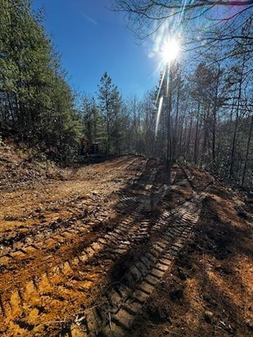 Lot 16 Paradise Property Photo 1