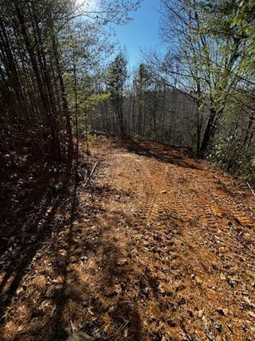 Lot 16 Paradise Property Photo 3