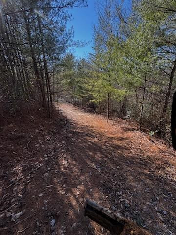 Lot 16 Paradise Property Photo 4