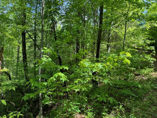 Lot 16 Paradise Property Photo 7