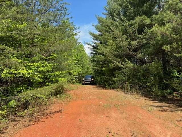 Lot 9 Paradise Property Photo 2