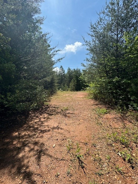 Lot 9 Paradise Property Photo 6