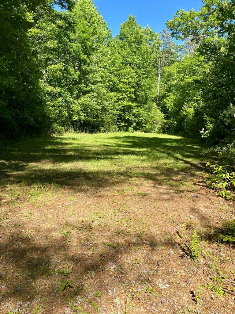 00 Deer Run Property Photo 1