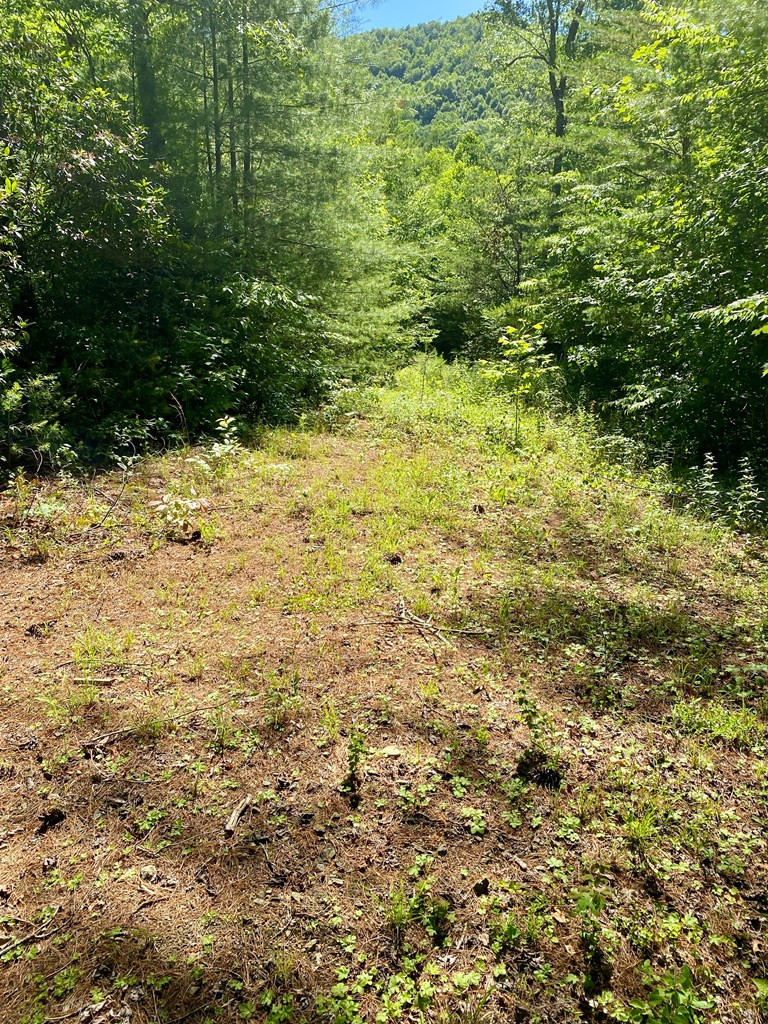 00 Deer Run Property Photo 7