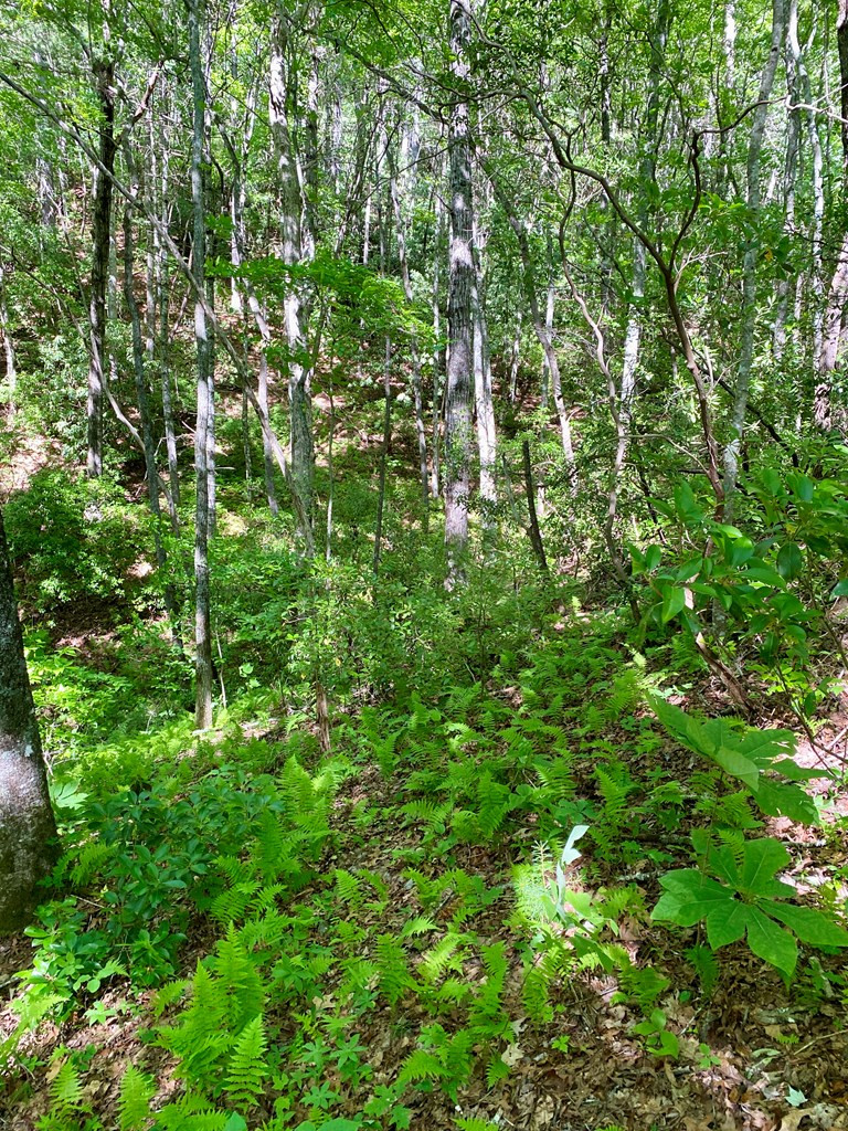 00 Deer Run Property Photo 2