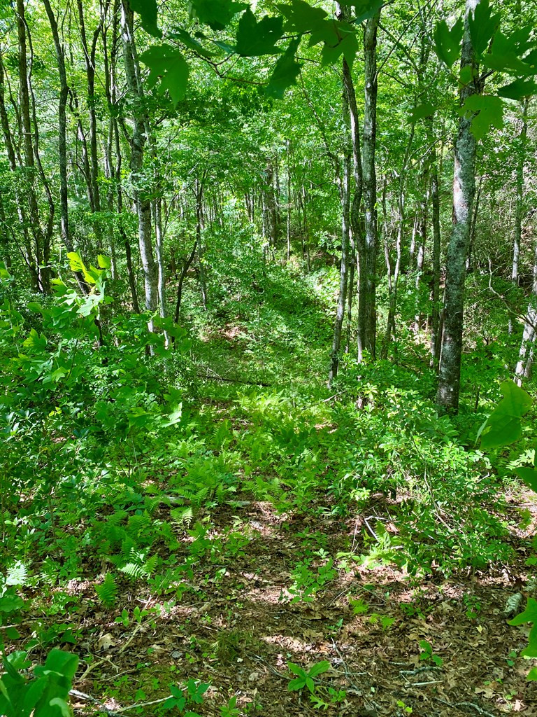 00 Deer Run Property Photo 4