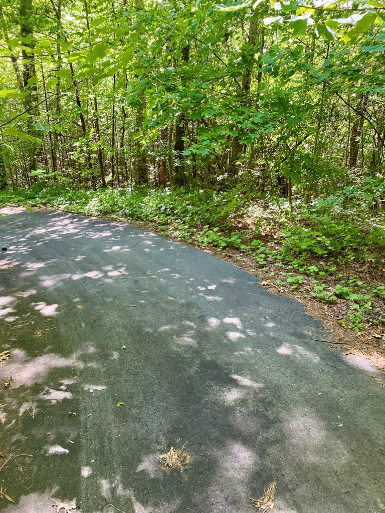 00 Deer Run Property Photo 6