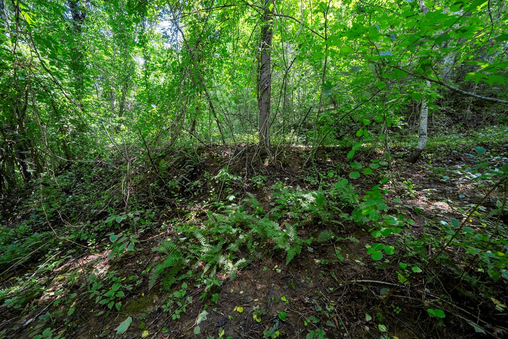 0 E Buffalo Property Photo 3